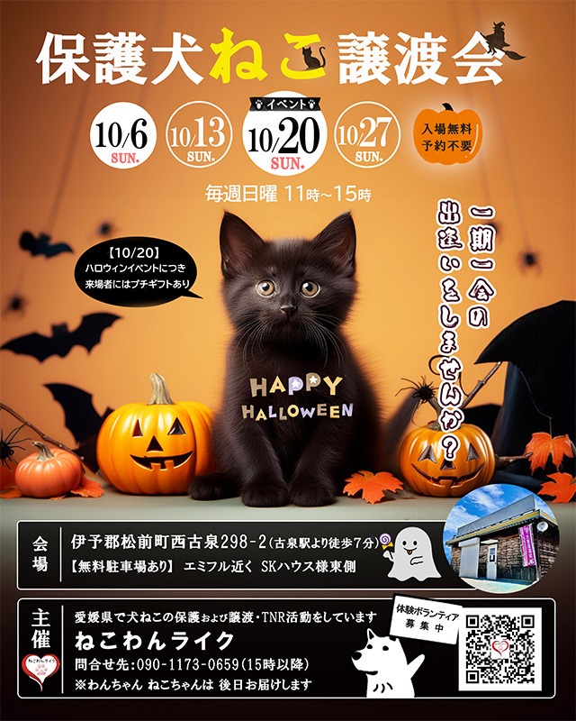 2024/10保護犬猫譲渡会用チラシハロウィン